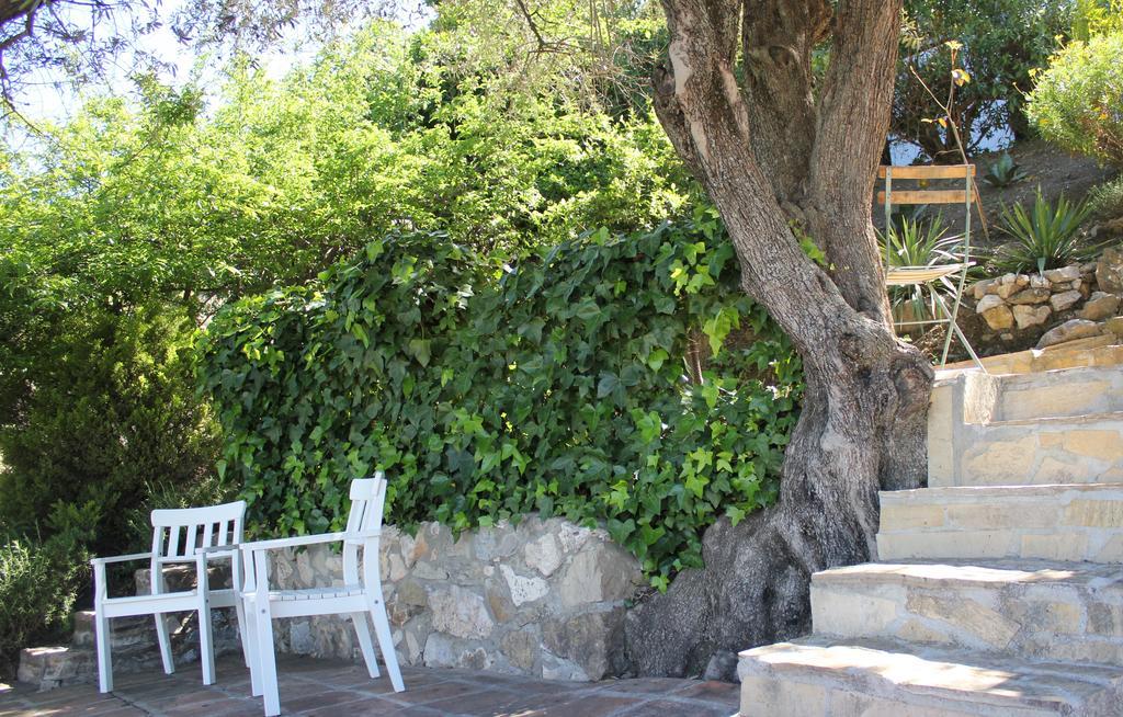 Bed and Breakfast El Nispero Dulce Alcaucín Exterior foto